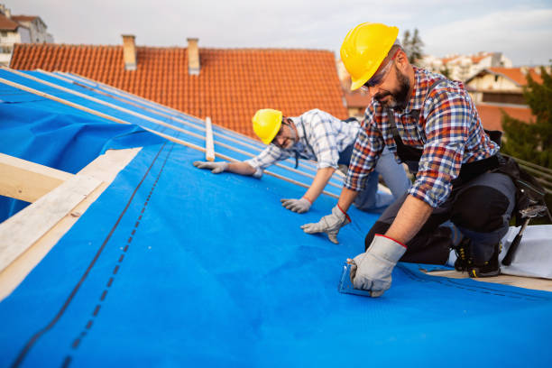 Best Gutter Installation and Roofing  in Leisure City, FL