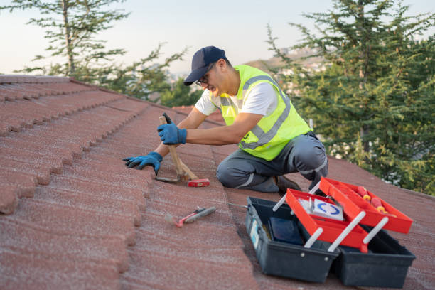 Best Commercial Roofing Services  in Leisure City, FL